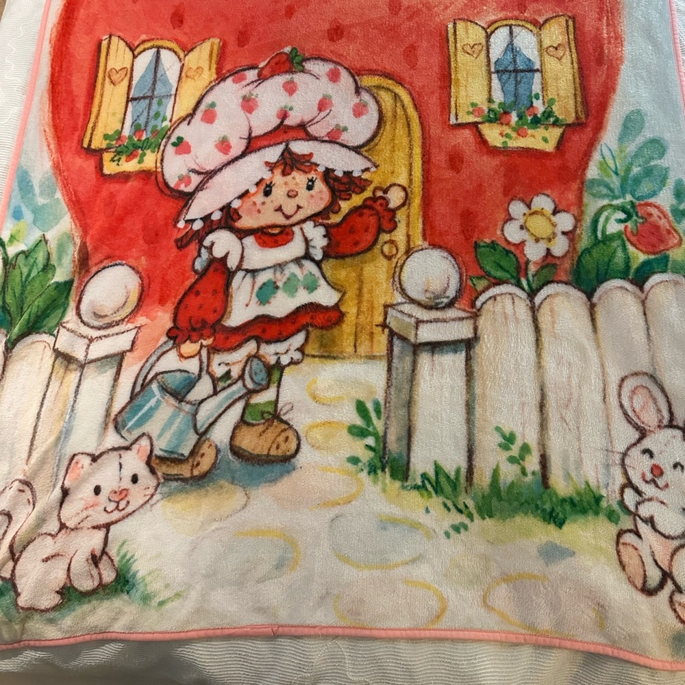 Strawberry Shortcake Themed Blanket